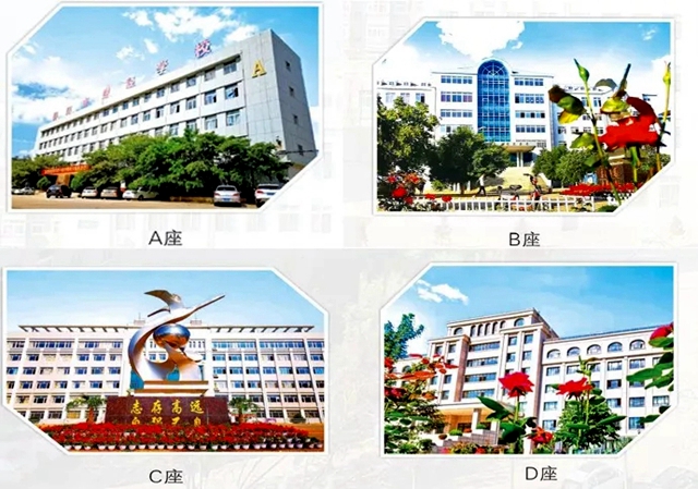 点击查看大图