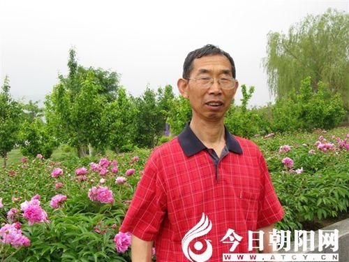 点击查看大图