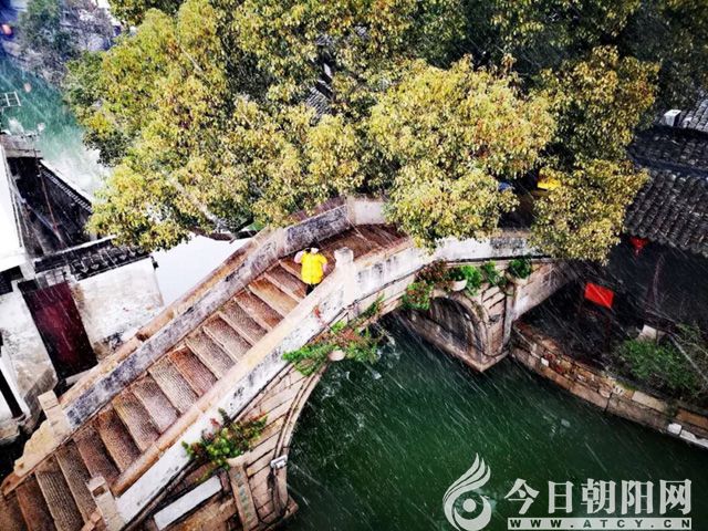点击查看大图