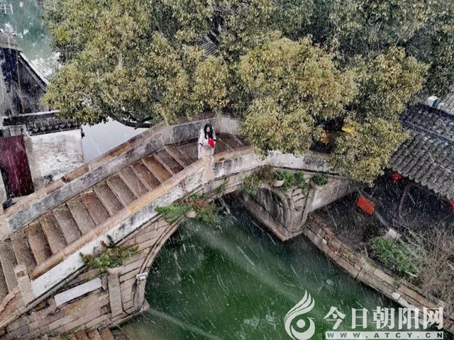 点击查看大图