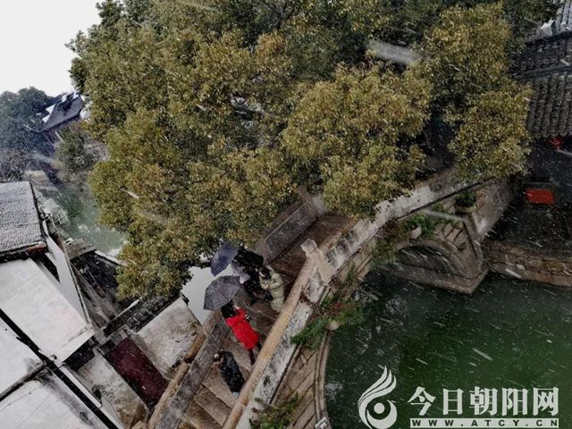 点击查看大图