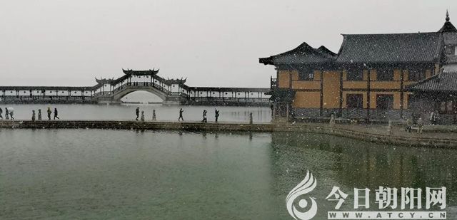 点击查看大图