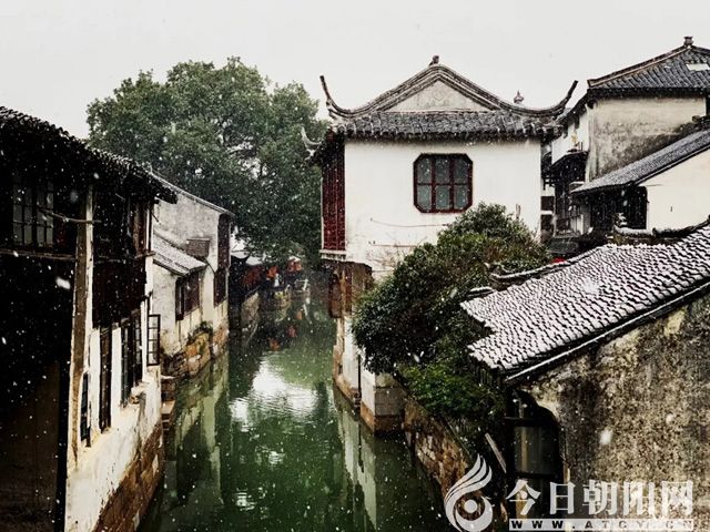 点击查看大图