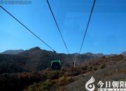 “驴话”连篇（之二十二）（王中原）