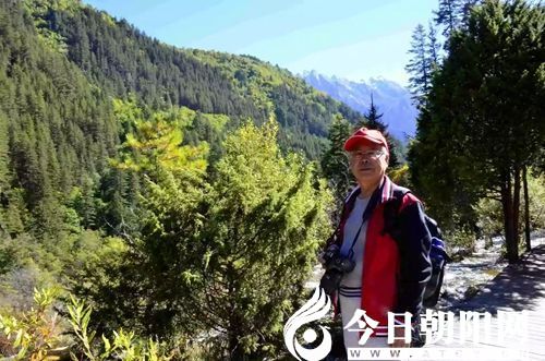 点击查看大图