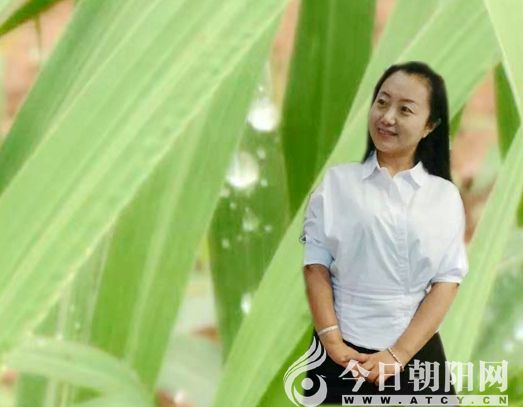点击查看大图
