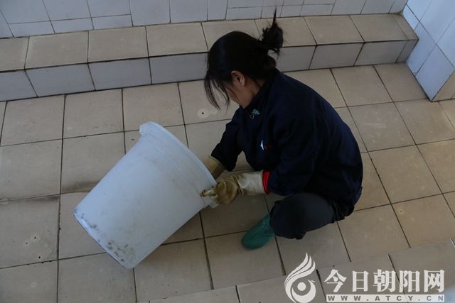 点击查看大图