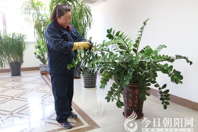点击查看大图