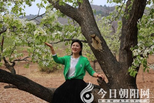 点击查看大图