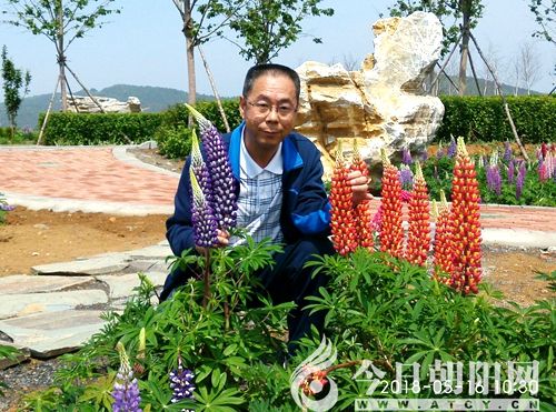点击查看大图
