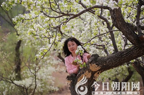 点击查看大图