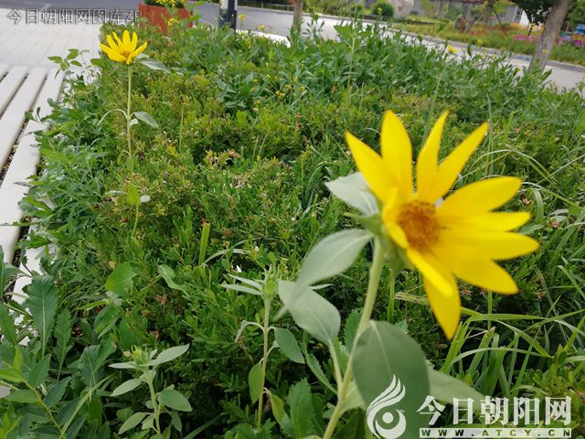 点击查看大图