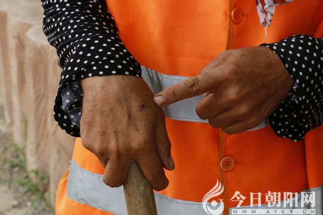 点击查看大图