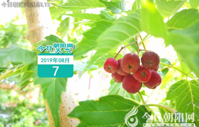 点击查看大图