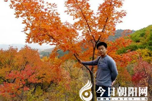 点击查看大图