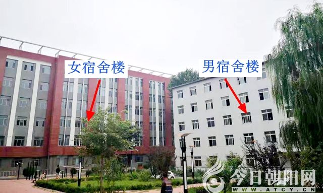 点击查看大图