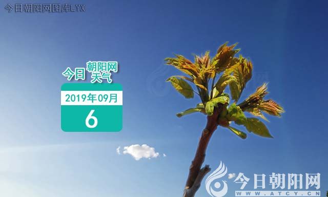 点击查看大图