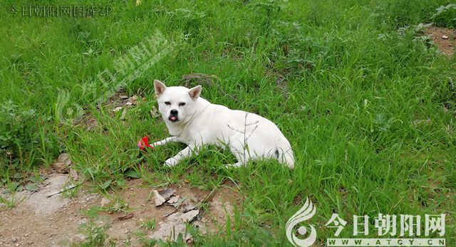 点击查看大图