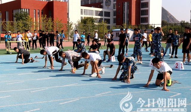 点击查看大图