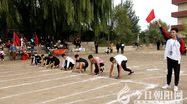 点击查看大图
