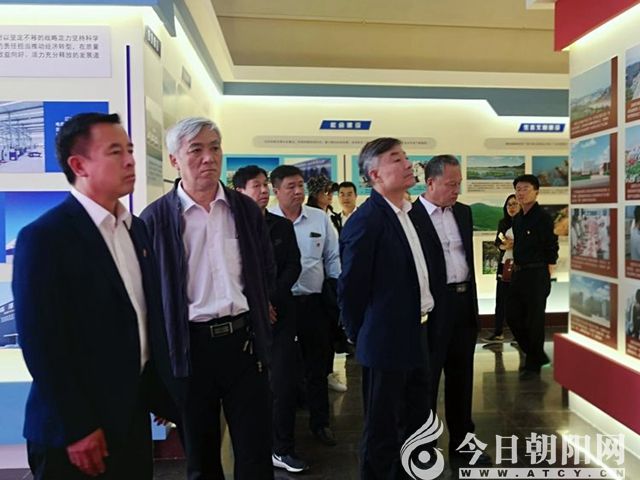 点击查看大图