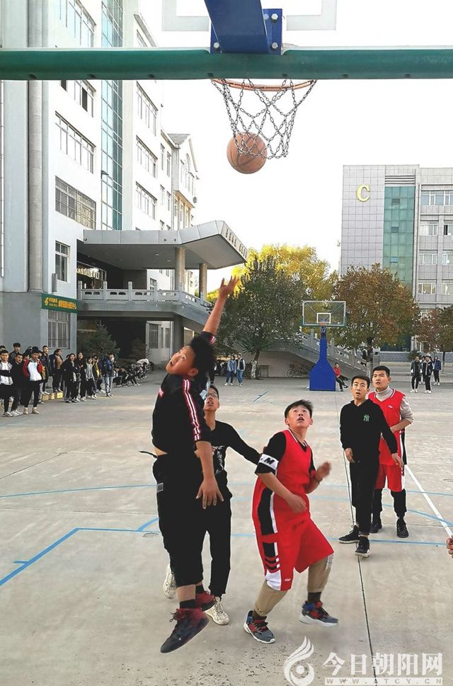 点击查看大图