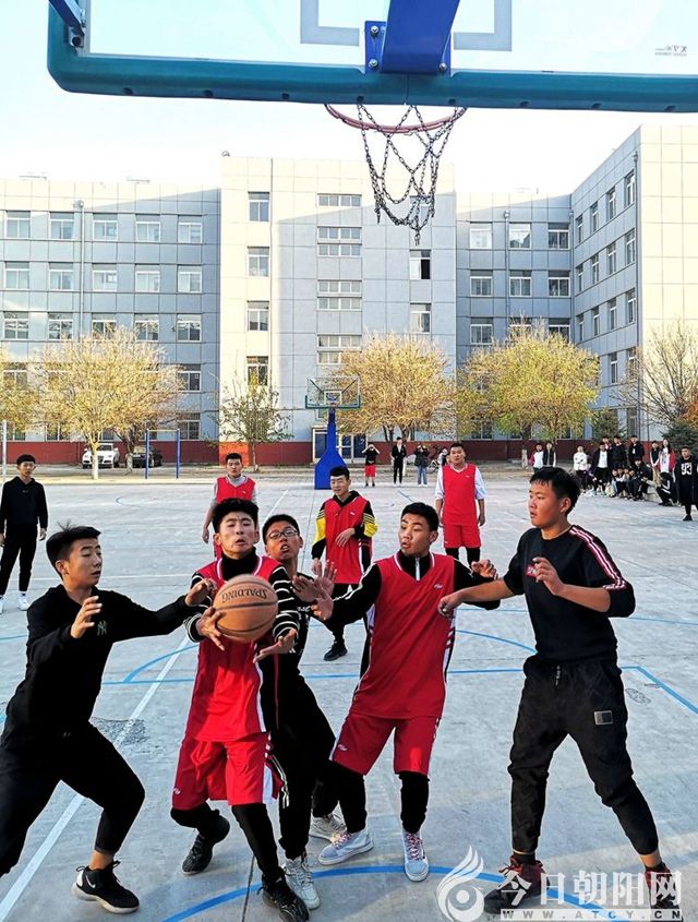 点击查看大图