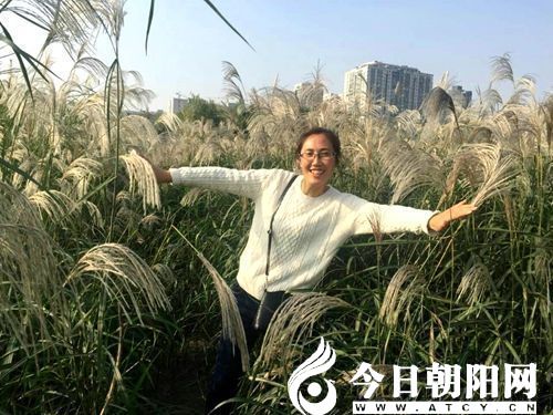 点击查看大图