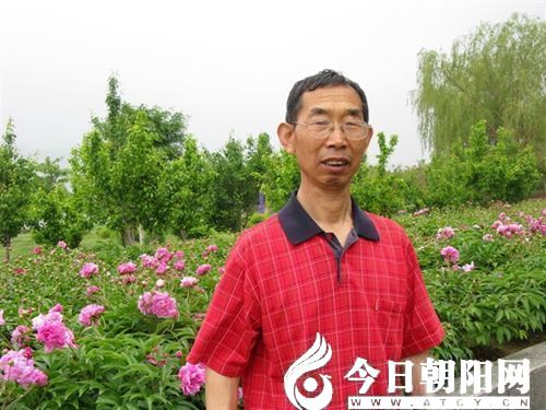 点击查看大图