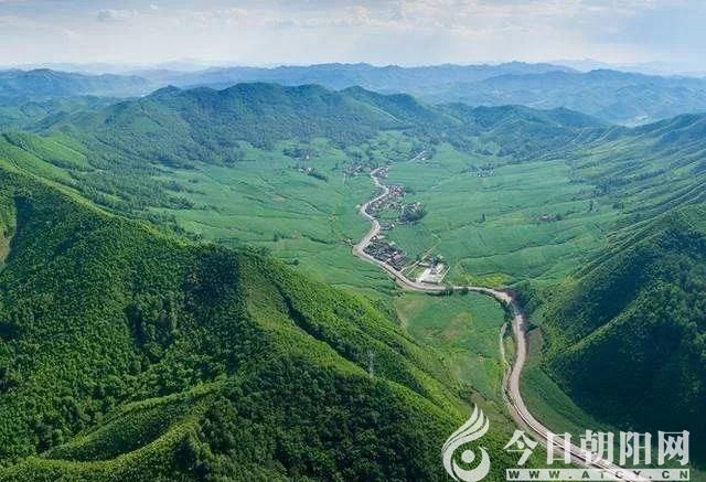点击查看大图
