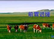 【养殖】前胃迟缓｜公益课（魏坤）