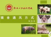 【养殖】猪舍通风方式｜公益课（杨晓静）