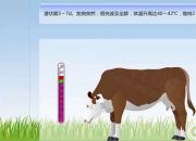 【养殖】牛流行热｜公益课（孔佳音）
