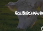 【养殖】维生素的分类与特点｜公益课（冯会中）