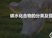 【养殖】碳水化合物及营养作用｜公益课（冯会中）