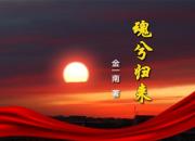 《魂兮归来》025（金一南）