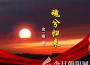 《魂兮归来》027（金一南）