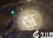 为别人亮起一盏灯（王中原）