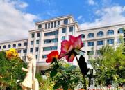 财经学校助你实现电商梦