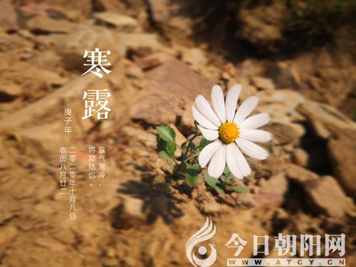 今日寒露|气冷疑秋晚,声微觉夜阑