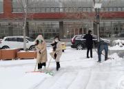 雪过天霁校园美（李秀露）