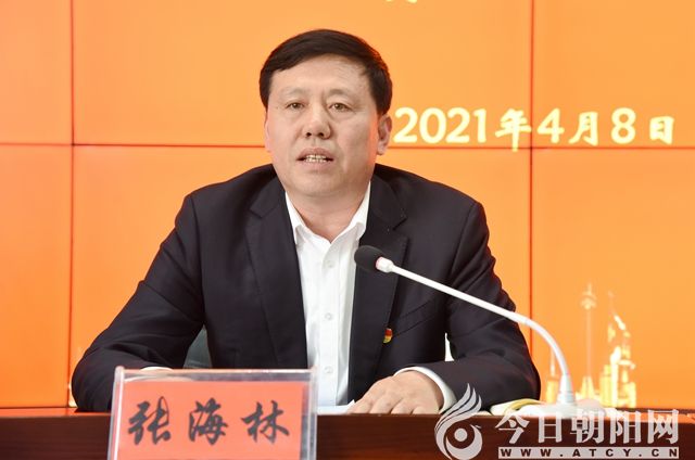 党委负责人张海林作工作报告