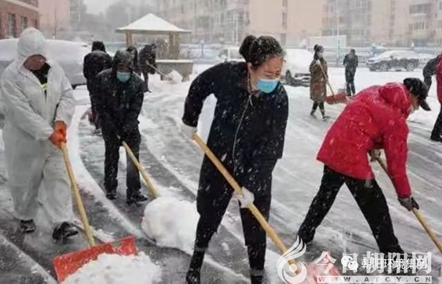 点击查看大图
