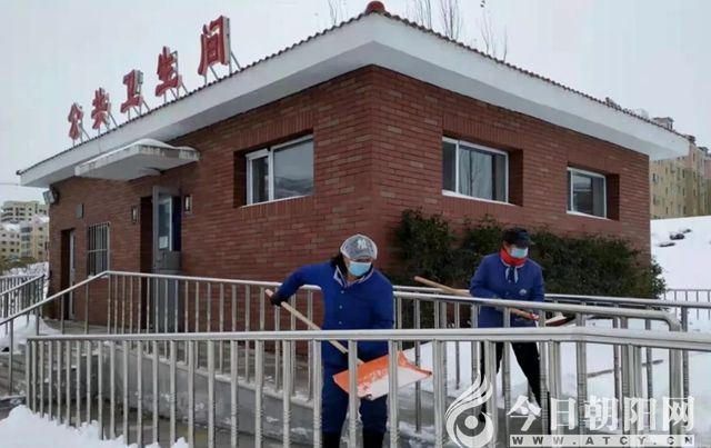 点击查看大图
