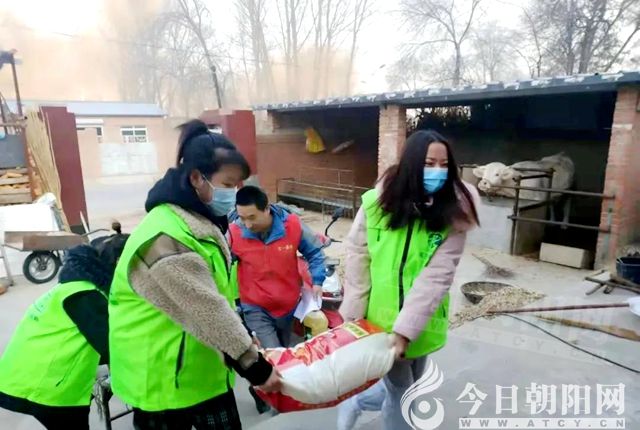 点击查看大图