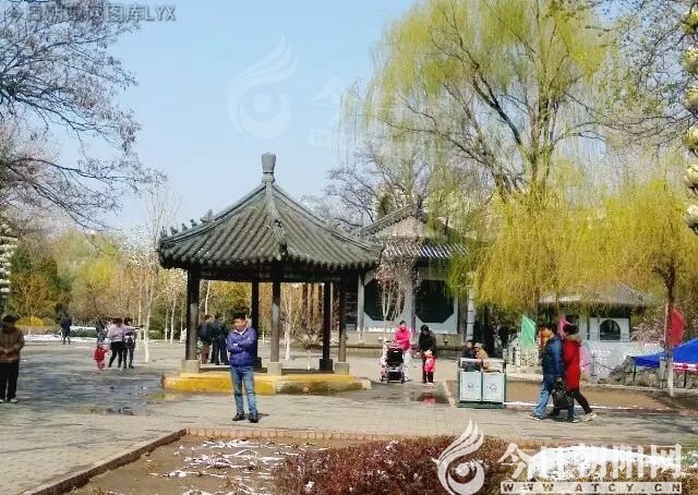 点击查看大图