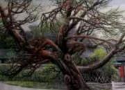 【画意诗情·每周诗画】赏《古木春风黄叶村》（李刚 陈玉民）