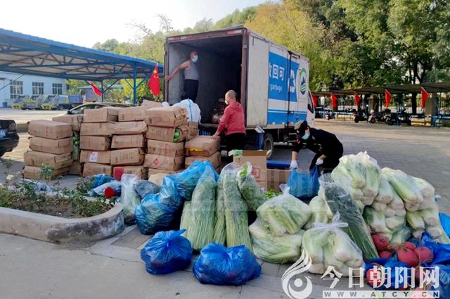 点击查看大图