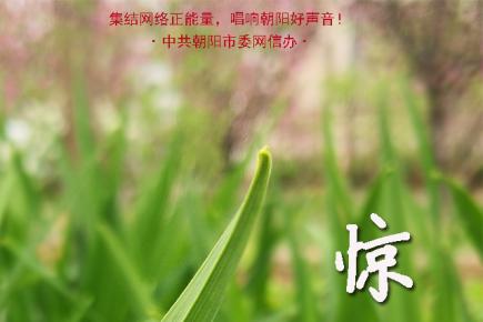 惊蛰