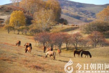 游乌兰布统有感（谢晓丰）